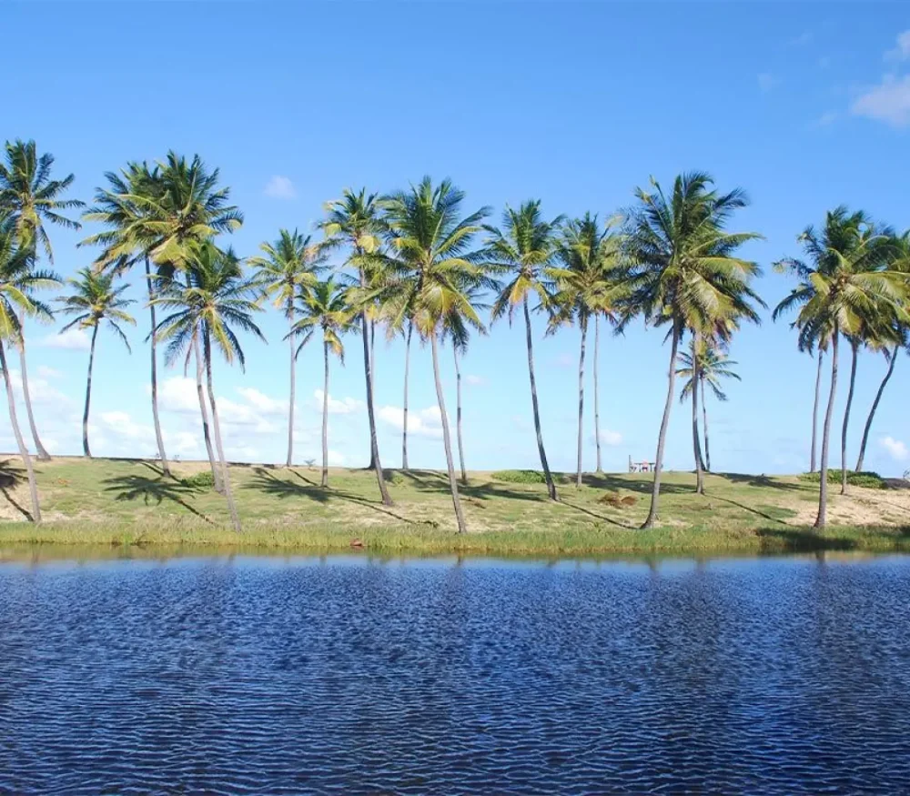  Descubra o Paraíso